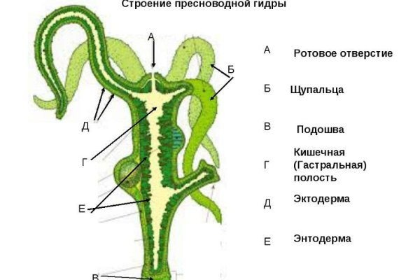 Рабочие ссылки и зеркала кракен