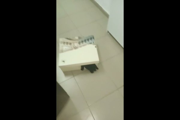Ссылка на кракен тор магазин