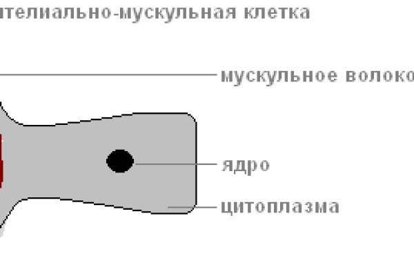 Кракен сайт наркотиков