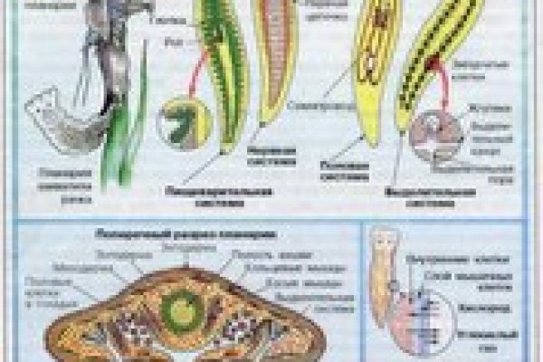 Что такое кракен площадка